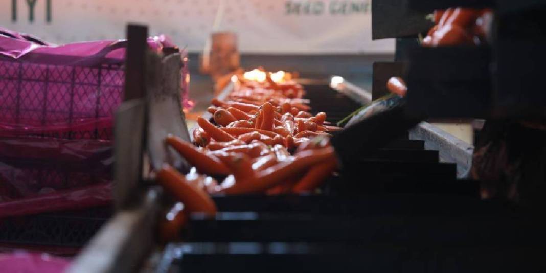 80 bin dekarda üretiliyor,%90'ı kadın emeğinden oluşuyor! Türkiye’nin ihtiyacı bu şehirden karşılanıyor 6